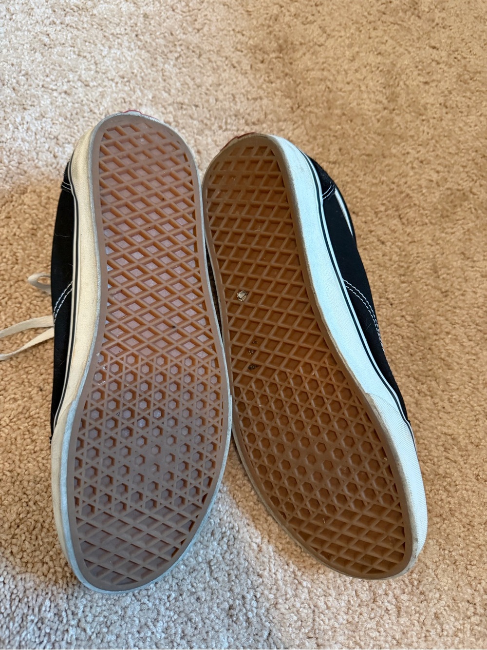 Vans Black & White Low-Top Skate Sneakers - Picture 4 of 5
